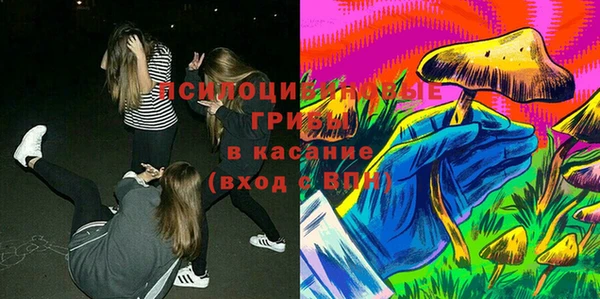 ALPHA PVP Куйбышев