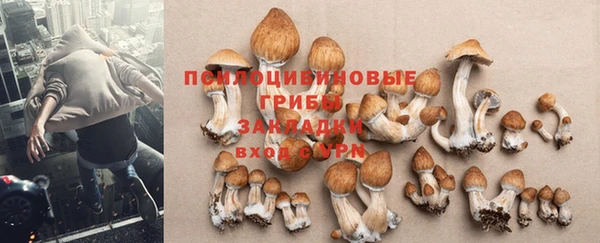 ALPHA PVP Куйбышев